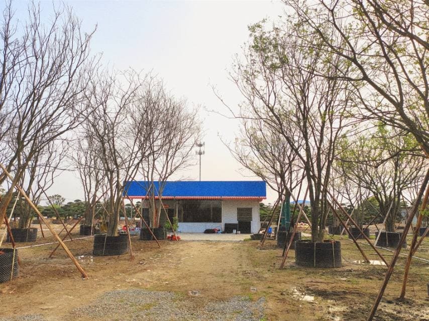 中山市肆家园林花木场