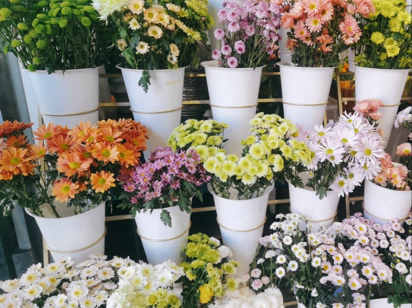 草堂花艺(总店)