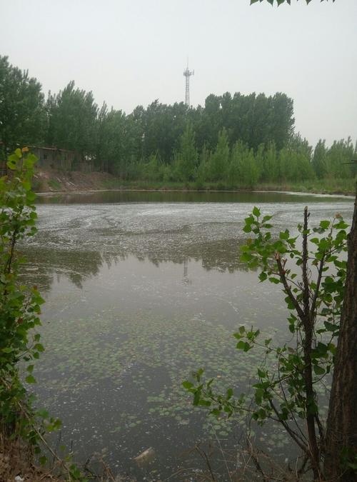 刘李庄镇