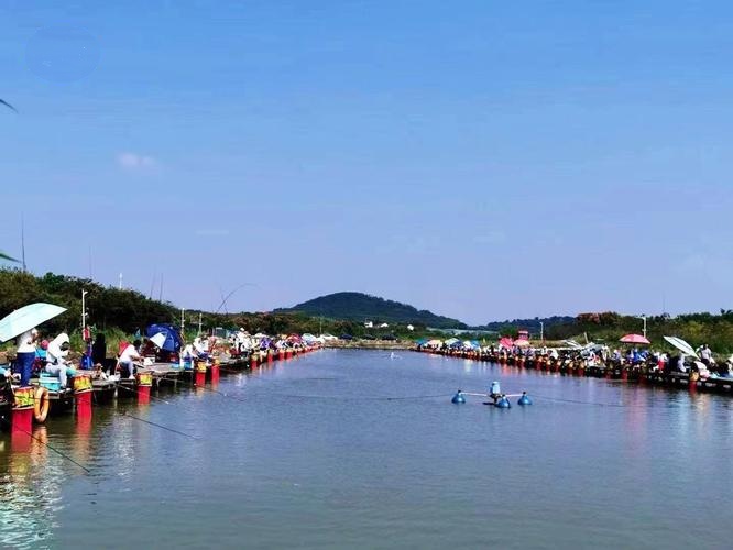 渔沥水塘休闲垂钓基地