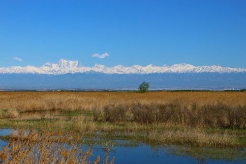 青格达湖乡