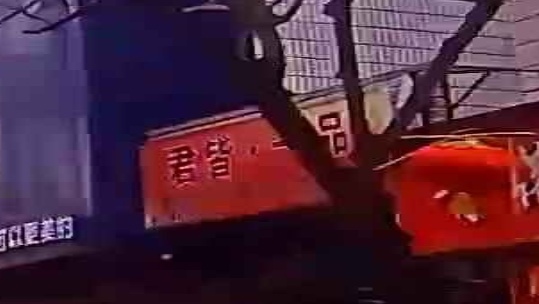 君皆一树