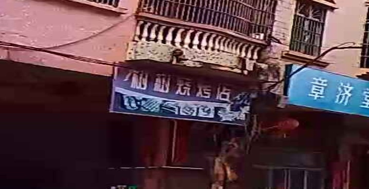 树树烧烤店