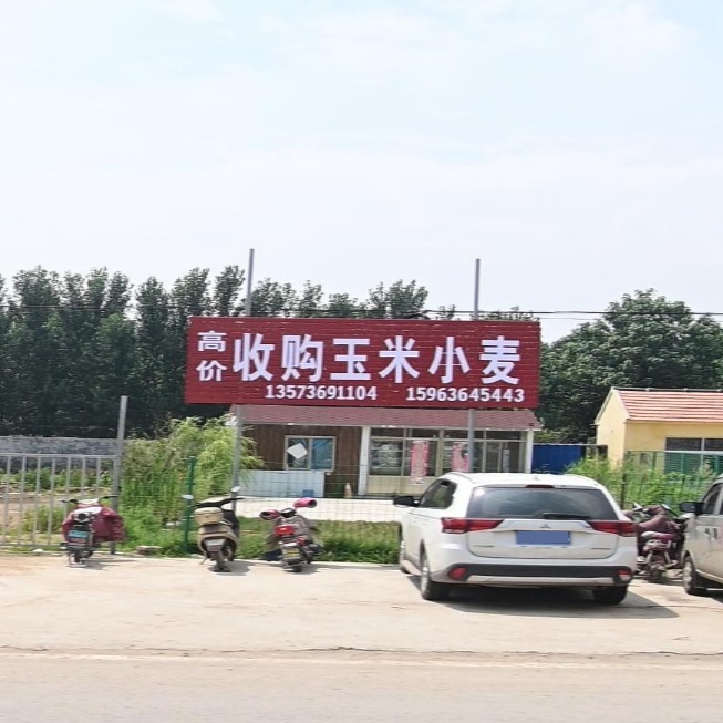 高价收购玉米小麦