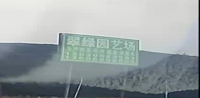 厦门市海沧区翠绿园艺场
