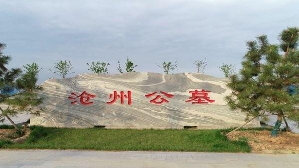 沧州市民政事务服务中心