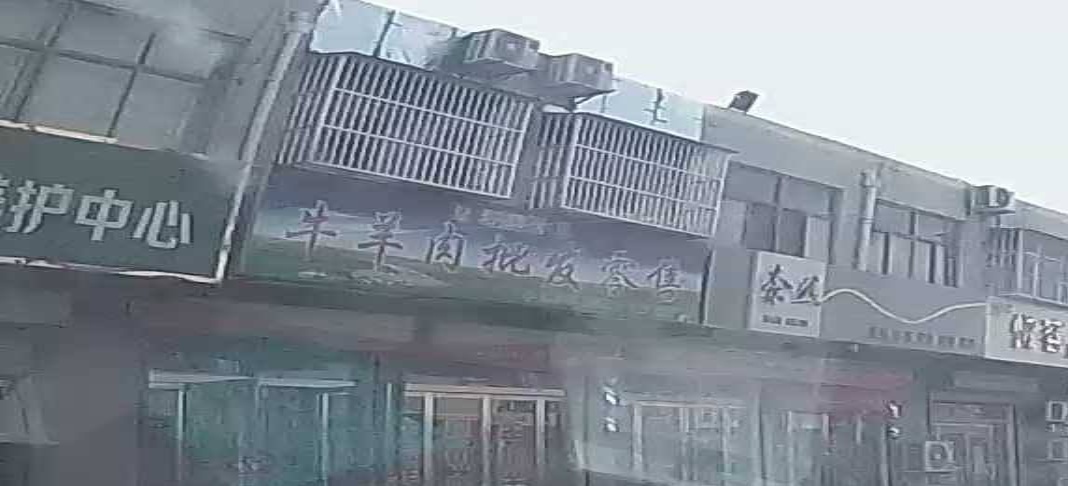 清真牛羊肉批发零售