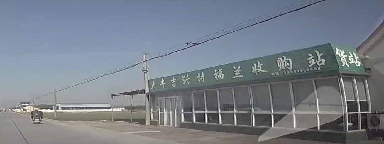 大丰吉兴村佛兰收购站