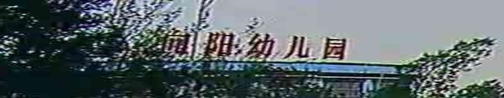 向阳幼儿园