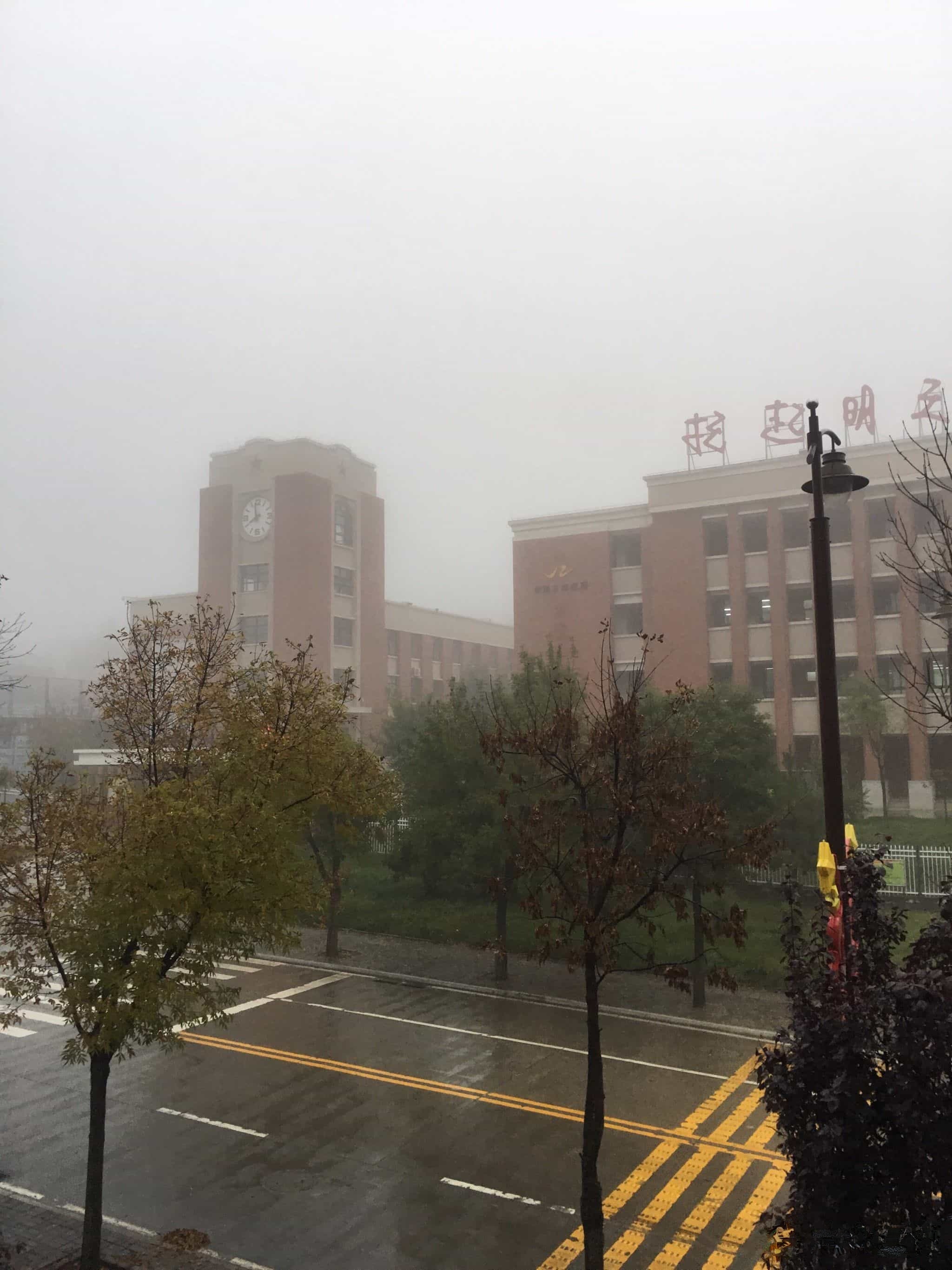 耀州区照金红军小学