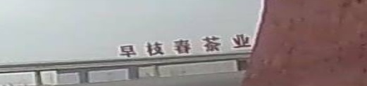 四川红岩山早枝春茶业有限公司