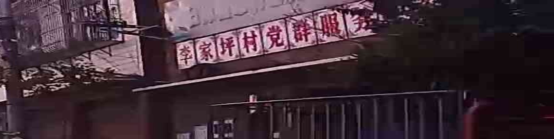 东联镇李家坪村村民委员会