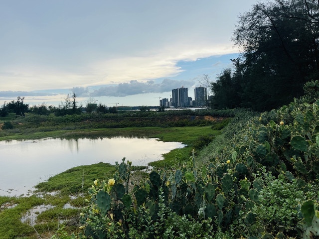 清凤黄金海岸