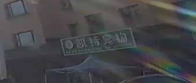 凯特宠物(鸿嘉花园B区店)