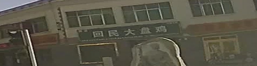回民大盘鸡