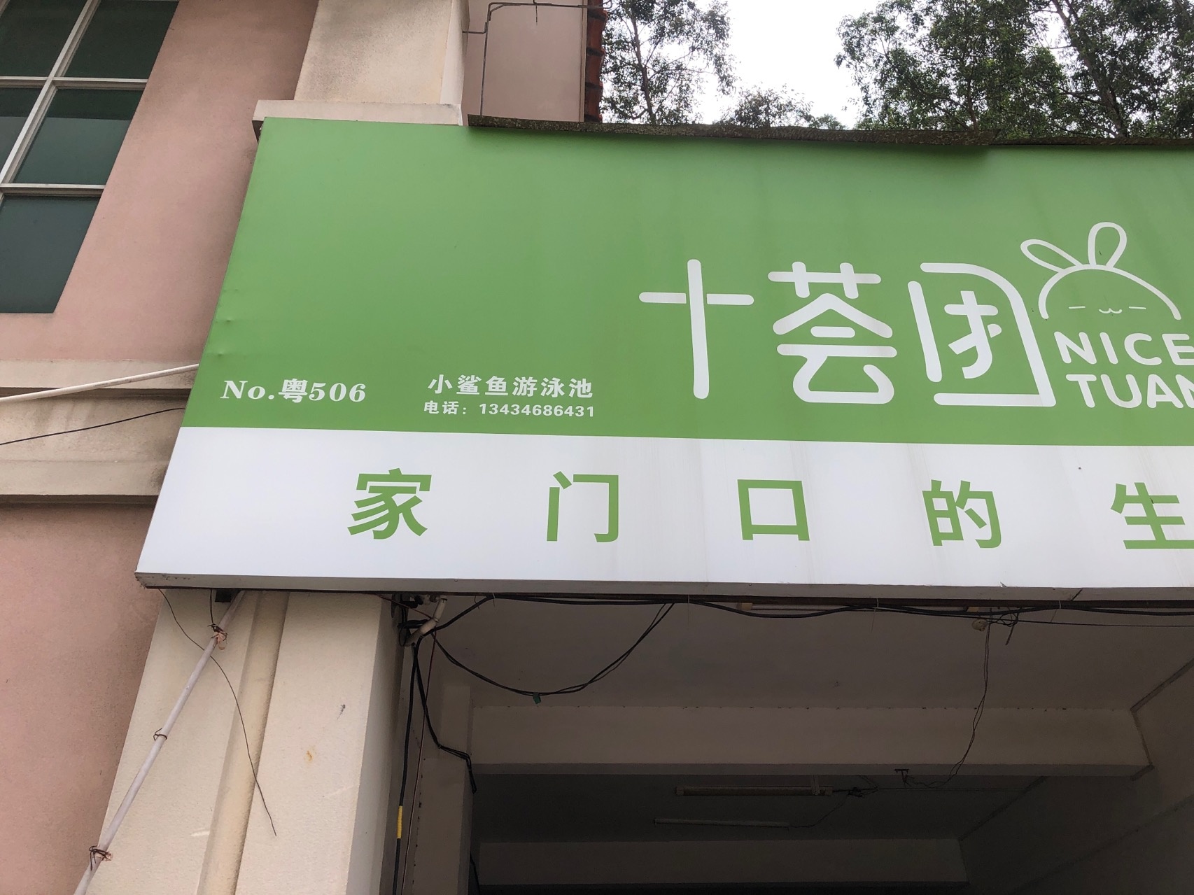 小鲨鱼游泳池
