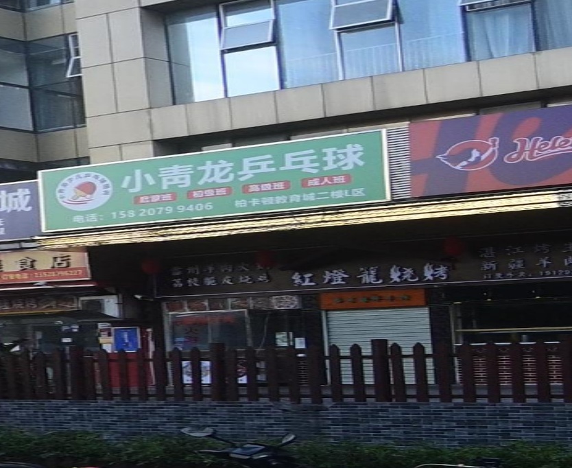 小青龙乒乓球