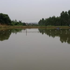 九瓦坑钓鱼场