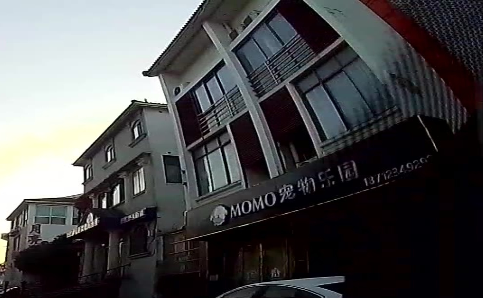 momo宠物乐园