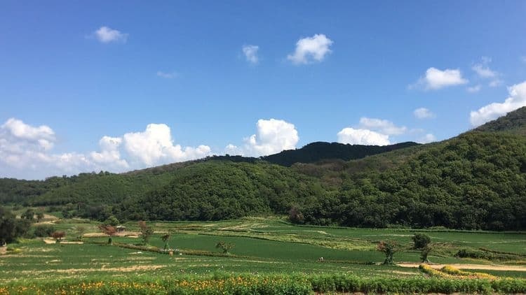 四平大架山森林公园