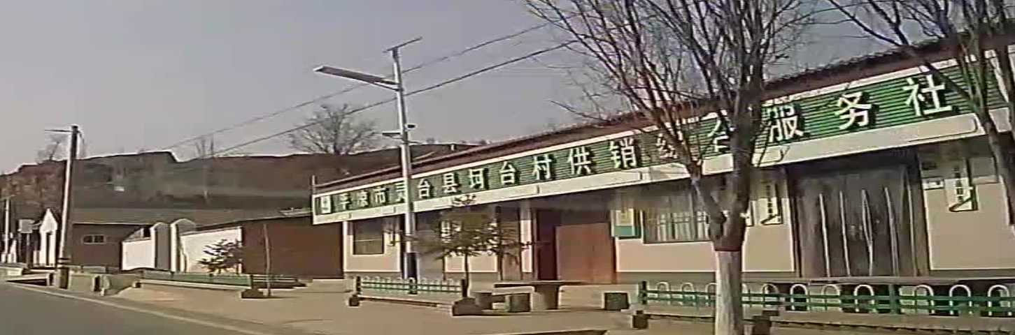 平凉市灵苔县坷台村供销综合服务社