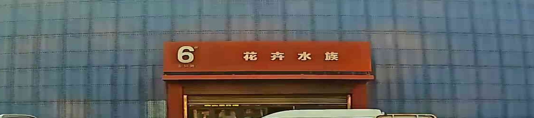 花卉水族(东环城路店)