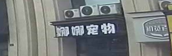 娜娜宠物(水南店)