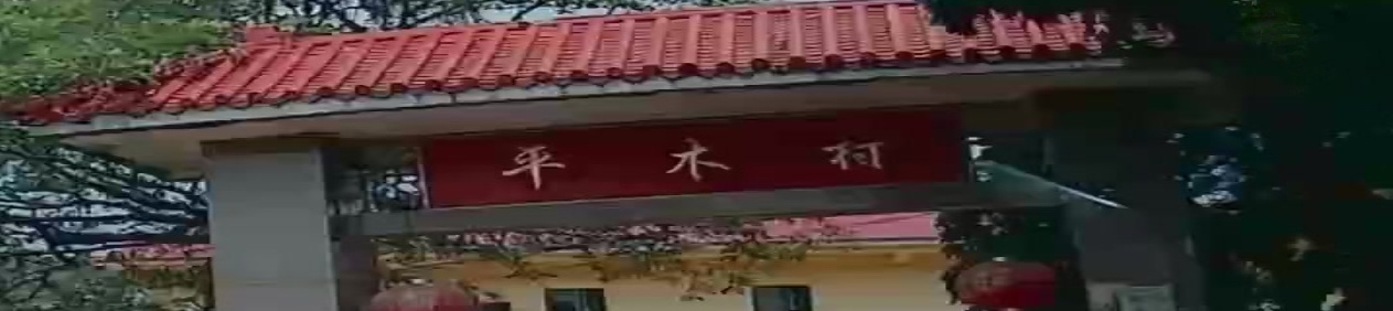 平木村村民委员会