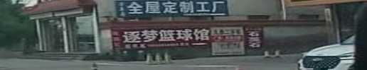 逐梦体育