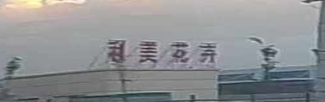 利美花卉