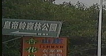 皇帝岭森林公园