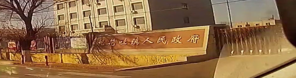 桃花吐镇人民政府