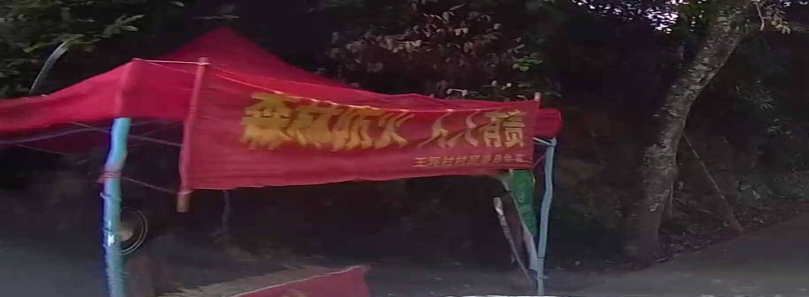 王坪村民委员会