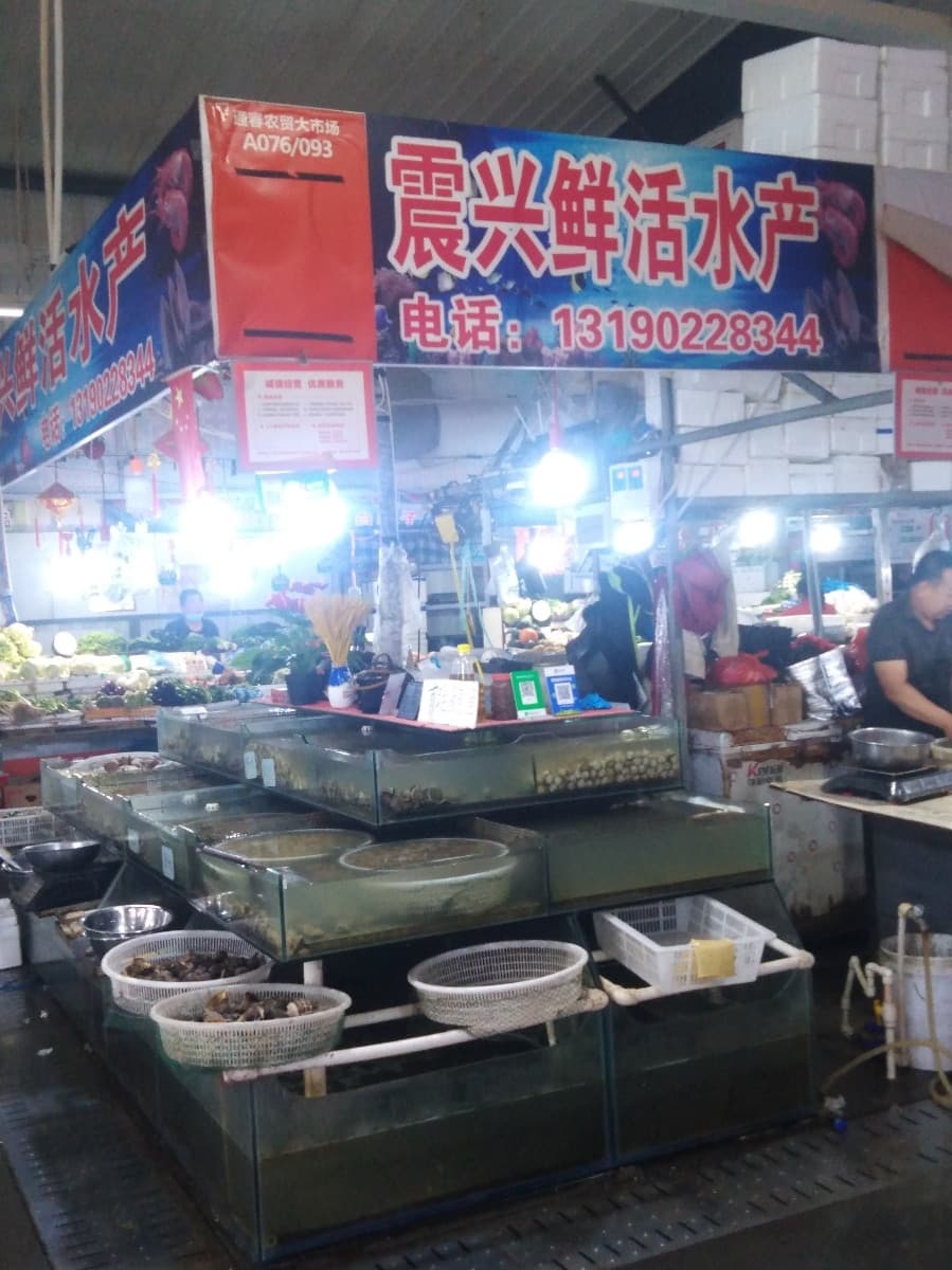震兴鲜活水产