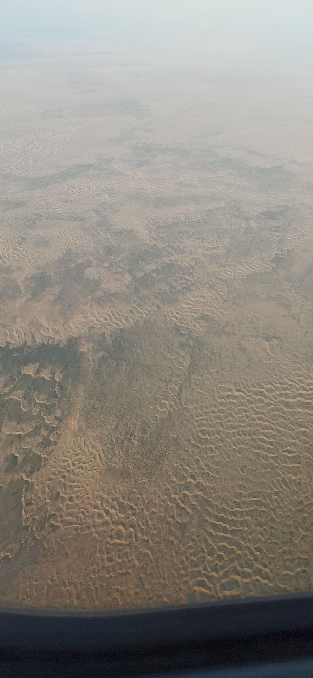 黄河湿地生态公园