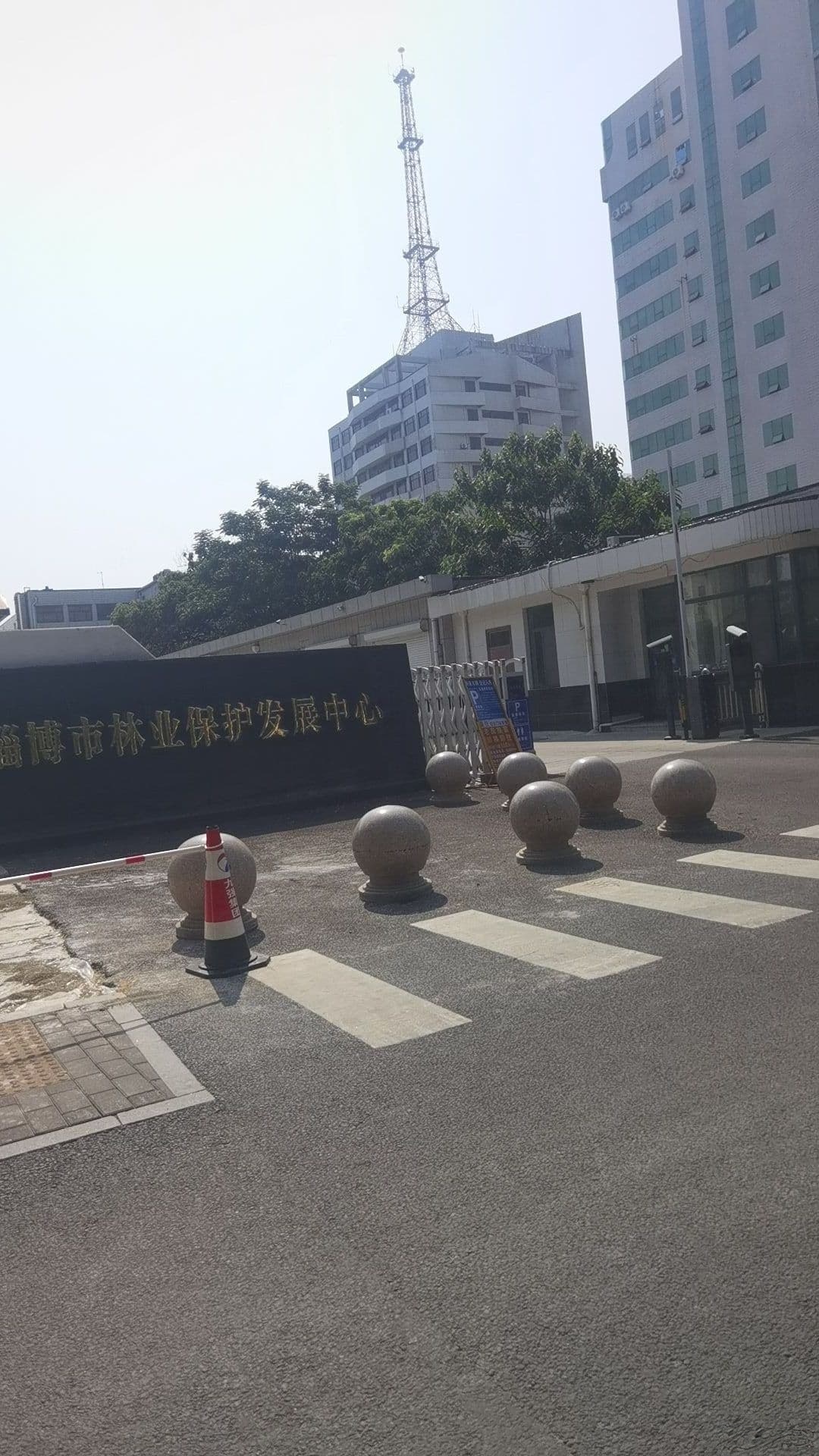 淄博市林业保护发展中心