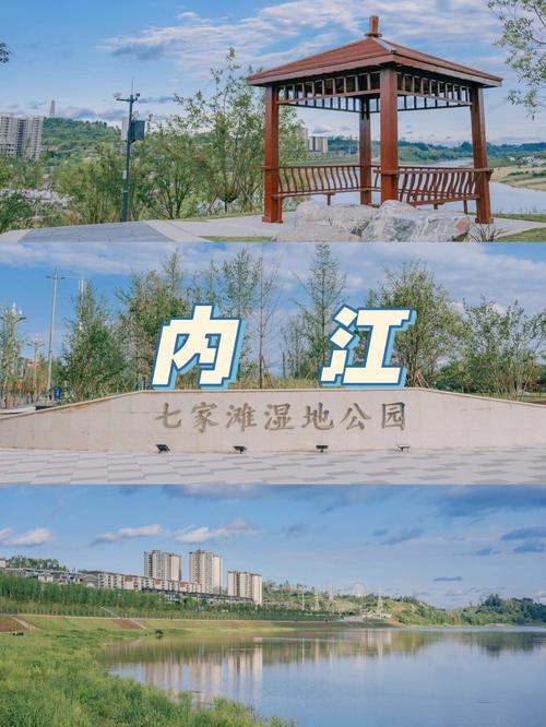 七家滩湿地公园