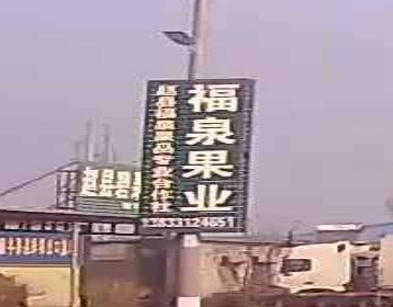 赵县福泉果品专业合作社