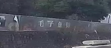 毛子鱼馆