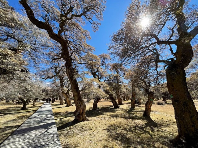 西藏自治区山南市错那市