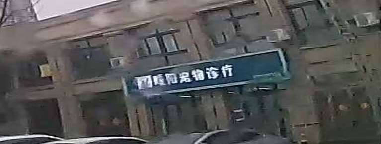 暖阳宠物诊疗中心