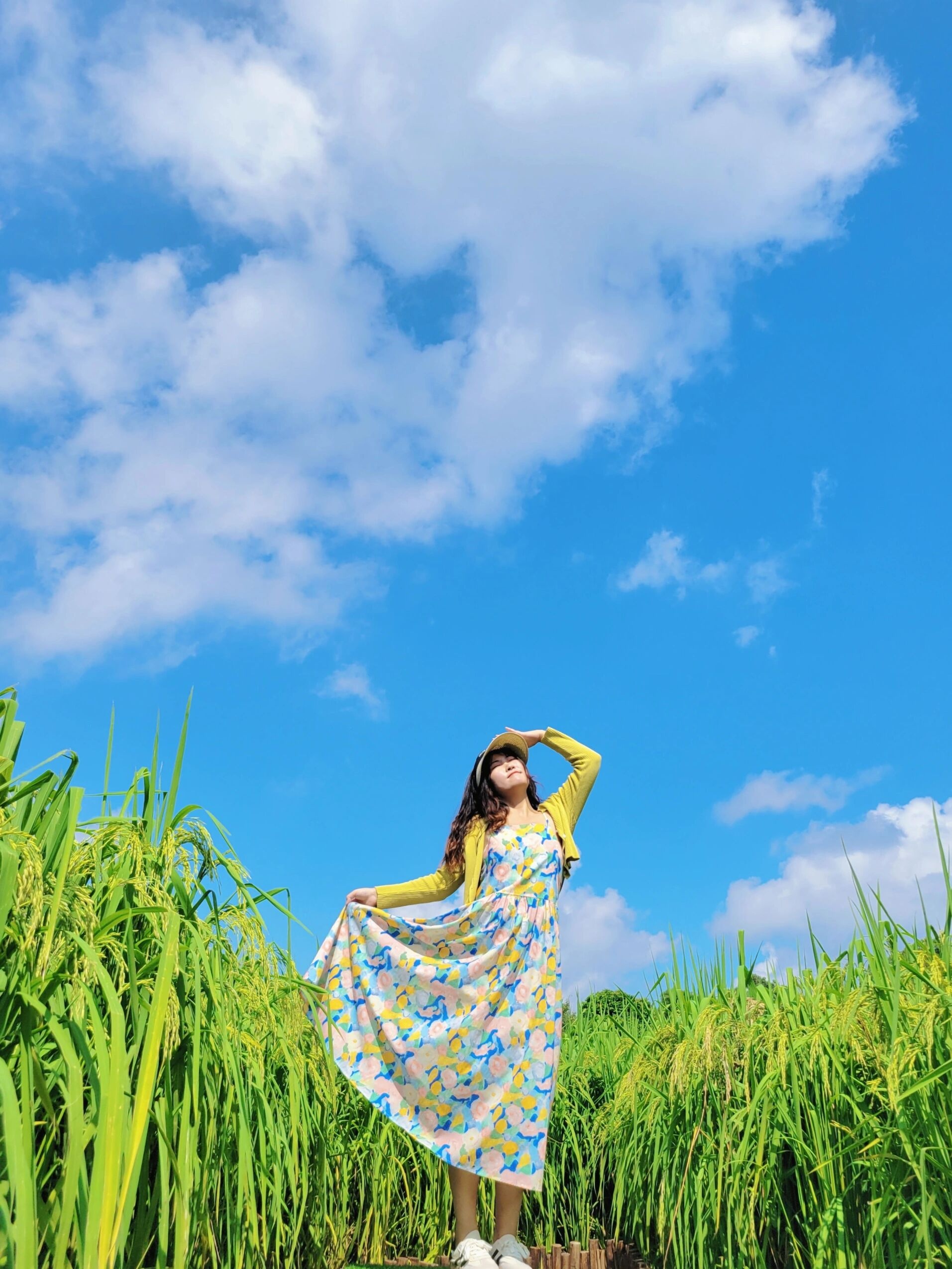 青秀山风景区东盟青年生态友谊园-大草坪