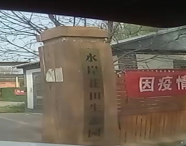 水岸花田