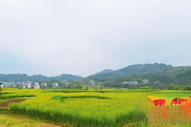 麻溪铺镇