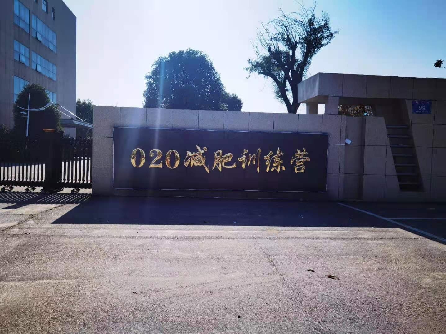 020减肥训练营