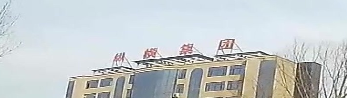 纵横集团