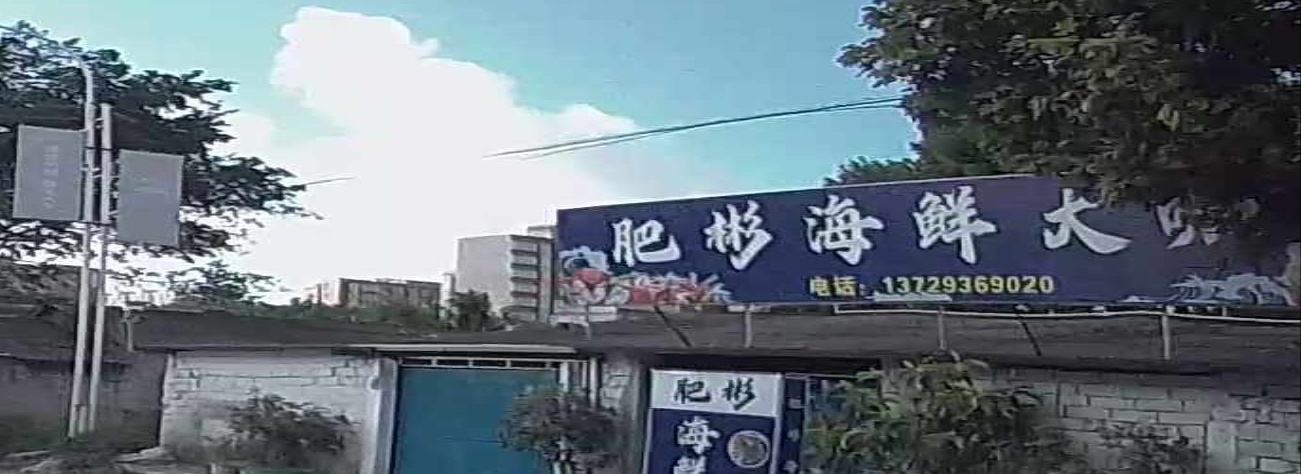 肥彬海鲜大咖