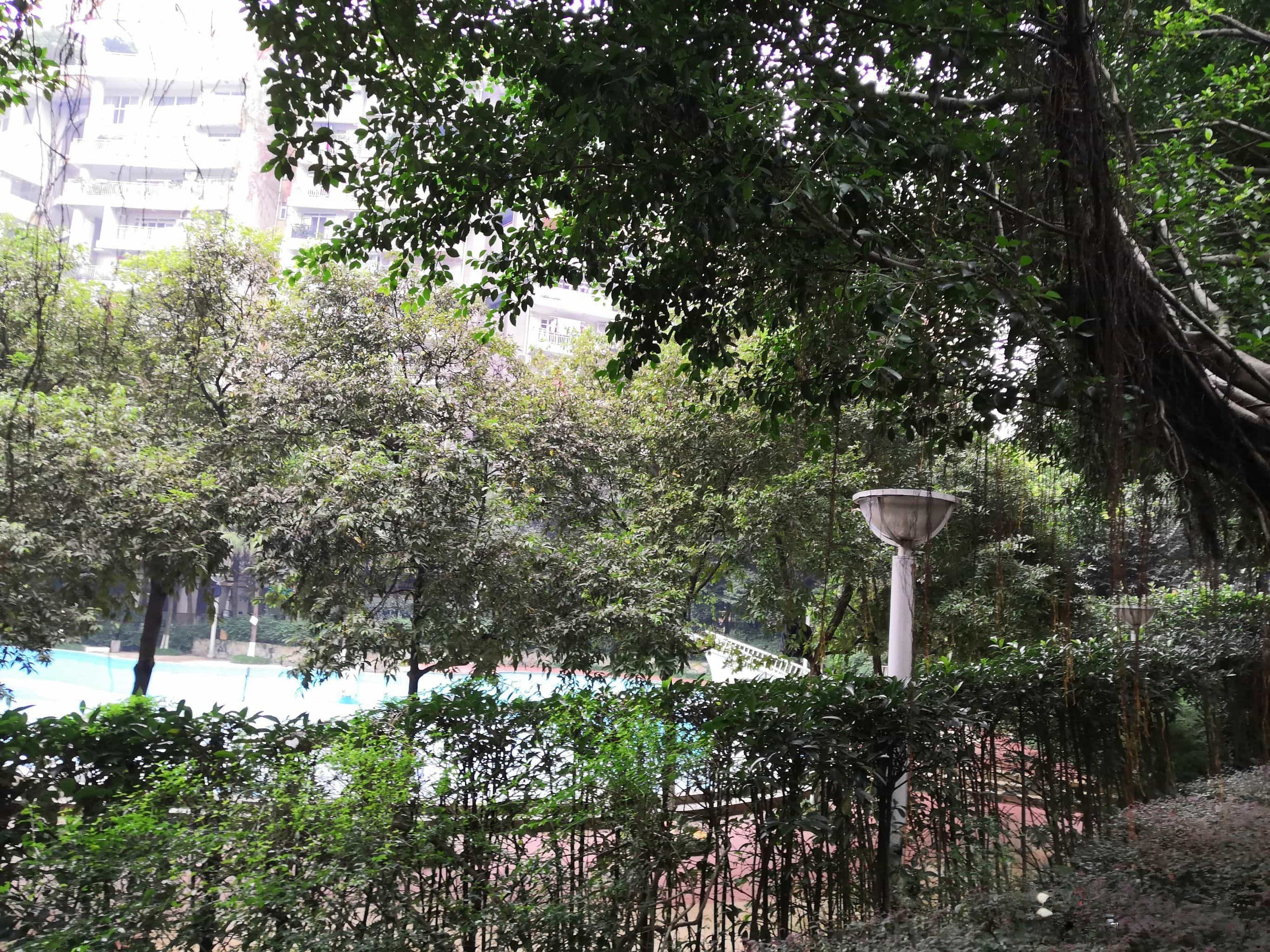 天骄年华游泳池