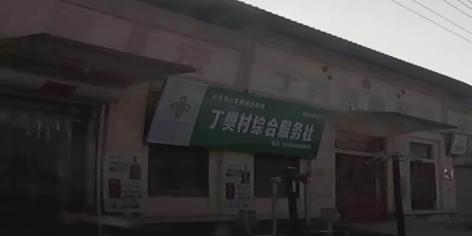 丁樊村