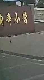 湾沚区陶心小学